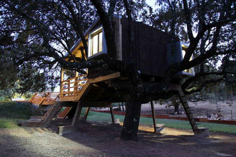 Tree House in Spain