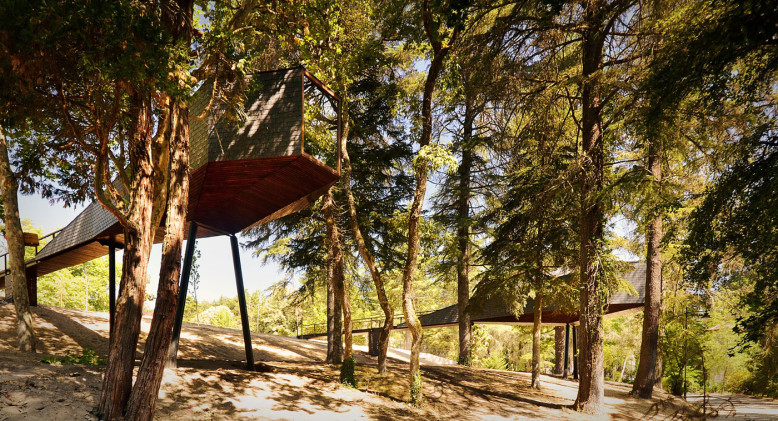 Amazing Tree Houses in Portugal